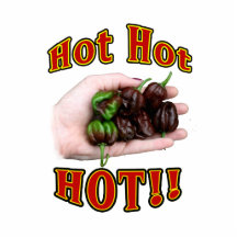 Hot Hot HOT Chocolate Habanero Peppers in Hand Photo Cut Out