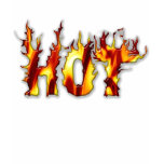 HOT In Flames! T-Shirt