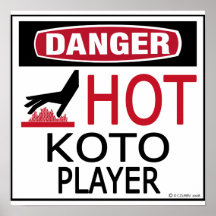 Hot Koto Player Poster