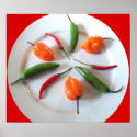 Hot peppers 2 posters