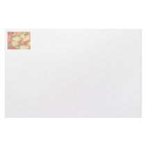 Hot peppers, faded background with tracing stationery