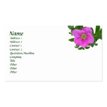 Hot Pink Beach Rose Business Card