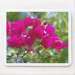 Hot pink bougainvilla mouse mat