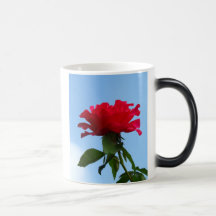 Hot Pink Flower Coffee Mugs