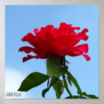 Hot Pink Flower Poster posters