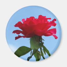 Hot Pink Flower Refrigerator Magnet