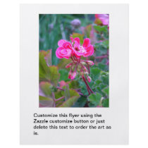 Hot pink flowers beautiful colourful garden photo