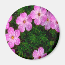 Hot Pink Flowers Refrigerator Magnets
