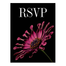 Hot Pink Fuchsia Daisy Wedding RSVP Postcard