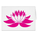 Hot Pink Lotus