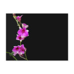 hot pink orchids postcard