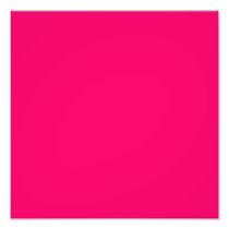 Hot Pink Photograph