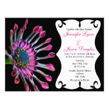 Hot Pink Purple African Daisy Wedding Invitations
