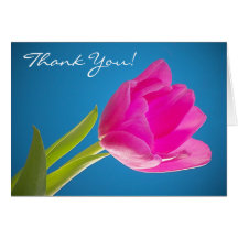 Hot Pink Tulip, Thank You! Greeting Card