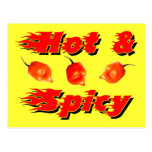 Hot & Spicy /3 Post Card
