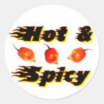 Hot & Spicy /5 Sticker