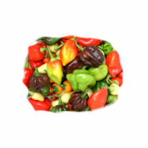 Hot Spicy Peppers Different Species, Spice it up! Photo Cut Out