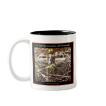 Hot Springs Mountain, Arkansas Chipmunk Gifts Coffee Mugs