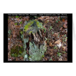 Hot Springs National Park, AR Upper Dogwood Loop Greeting Card