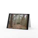 Hot Springs National Park Gulpha Gorge Trail Cards