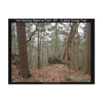 Hot Springs National Park Gulpha Gorge Trail Postcard