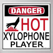 Hot Xylophone Player Poster
