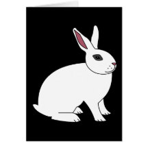 Hotot Rabbit Cards