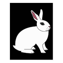 Hotot Rabbit Post Card