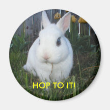 HOUBLON À LUI ! AIMANT DE LAPIN