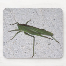 Houblon d'herbe tapis de souris