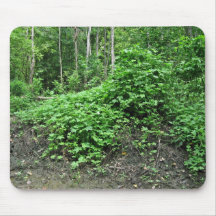 Houblon japonais tapis de souris