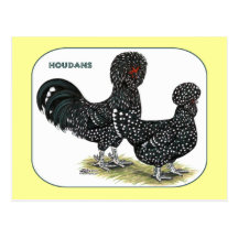 Houdan Chickens Postcards