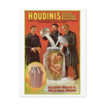 Houdini's ~ Illusionist Vintage Escape Artist
