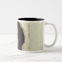 Hound dog in dog house mugs