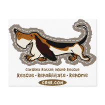 Hound Patch Postcards