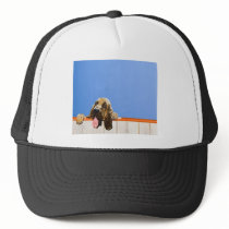 Hound portrait trucker hats
