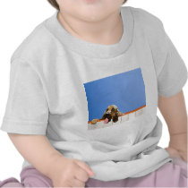 Hound portrait shirt