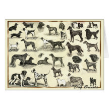 Hounds - Dog Breeds for Dog lovers canine hound Cards
