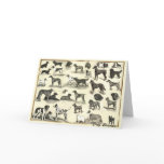 Hounds - Dog Breeds for Dog lovers cards