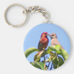 House Finch Couple Key Chains