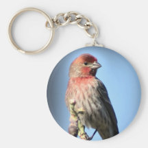 House Finch Keychain