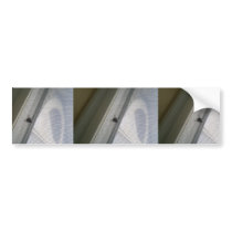 House Fly In Search Of Food On The Side Of Buildin Bumper Stickers