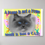 House not Home Posters