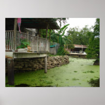 House on the Bayou Print