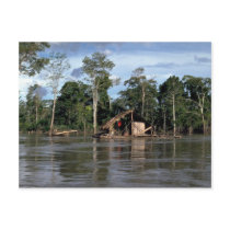 House on upper Amazon River, Peru Post Cards