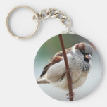 house-sparrow-male key chains