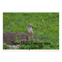 House Warming party invitation