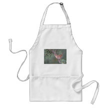 House Wren Aprons