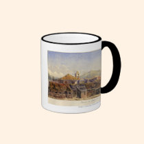 Houses in Acapulco mugs