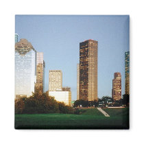 Houston Magnets